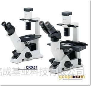 荧光倒置显微镜CKX41-A32FL/PH | 荧光倒置显微镜CKX41-A32FL/PH价格参数